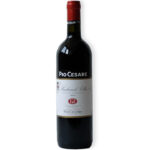 Pio Cesare Barbera d'Alba DOC 2023